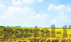 亚洲欧美一区二区三区在线-探索亚洲、欧美文化交流的多元视角,一区、二区、三区的在线交融